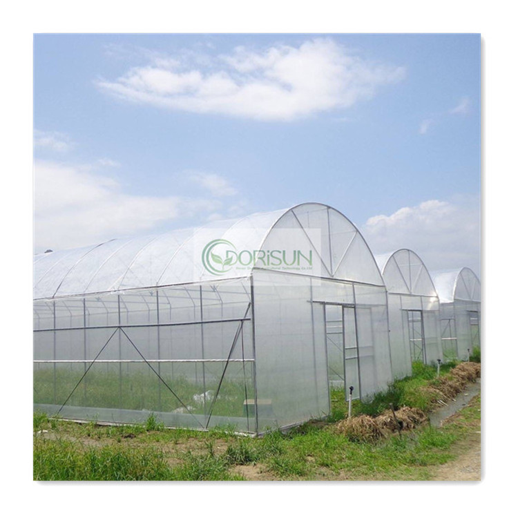 Plant Walk-In Low Cost Agricultural Commercial Hydroponic Co2 Generator Prices Agricultural Greenhouses