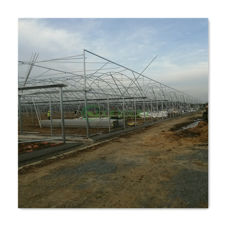 Hot Selling Aluminum Alloy Frame Multi Span Greenhouse Agricultural Greenhouse For Both Sides Ventilation System