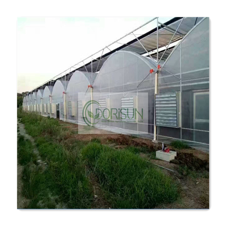 Comercial Sliding Film Decorative Steel Nursery Fan Seedling Dehumidifier 20M Tunnel Pump Greenhouse