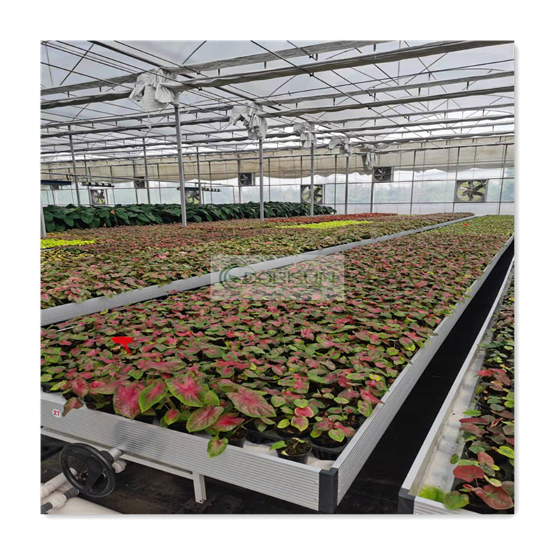 Hot Sale Cheap Hydroponic Plastic Trays Seeding Bed Nursery Seedbed Ebb And Flood Table Greenhouse Rolling Bench