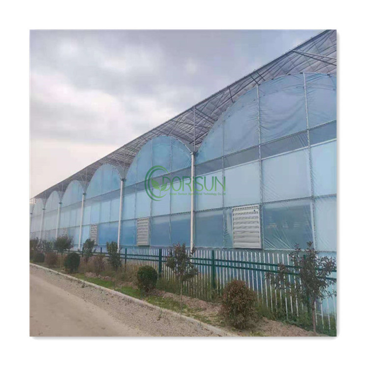 Hot Selling Aluminum Alloy Frame Multi Span Greenhouse Agricultural Greenhouse For Both Sides Ventilation System