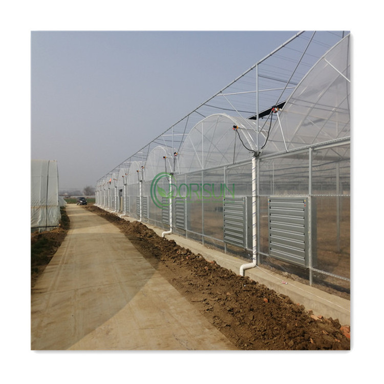 Commercial Hydroponic Co2 Generator Wholesale Price Agricultural Glass Multi Span Plastic Greenhouses For Sale