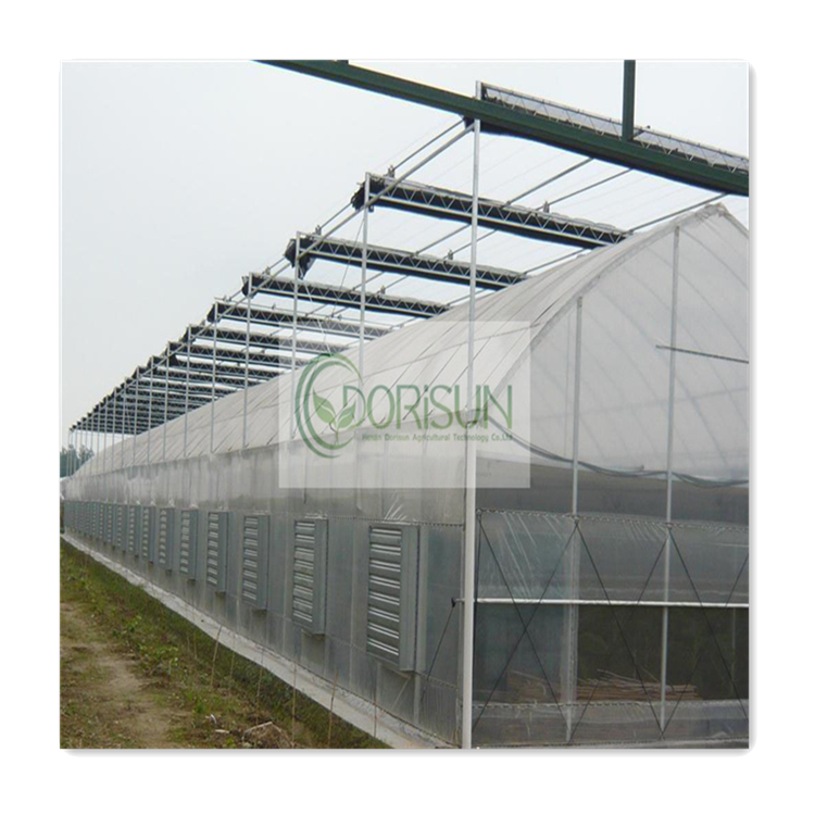 Large Nursery Sale Wholesale Price Glass Hydroponics Octagon Evaporative Air Cooler Heated Plant PC Sheet Greenhouse