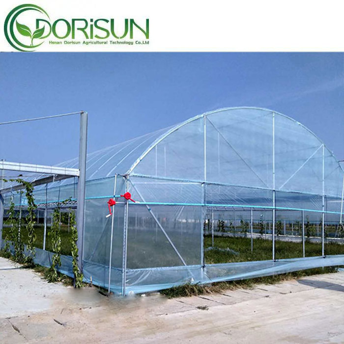 Lowest cost agricultural poly tunnel green house commercial steel galvanized pipe single span plastic greenhouse