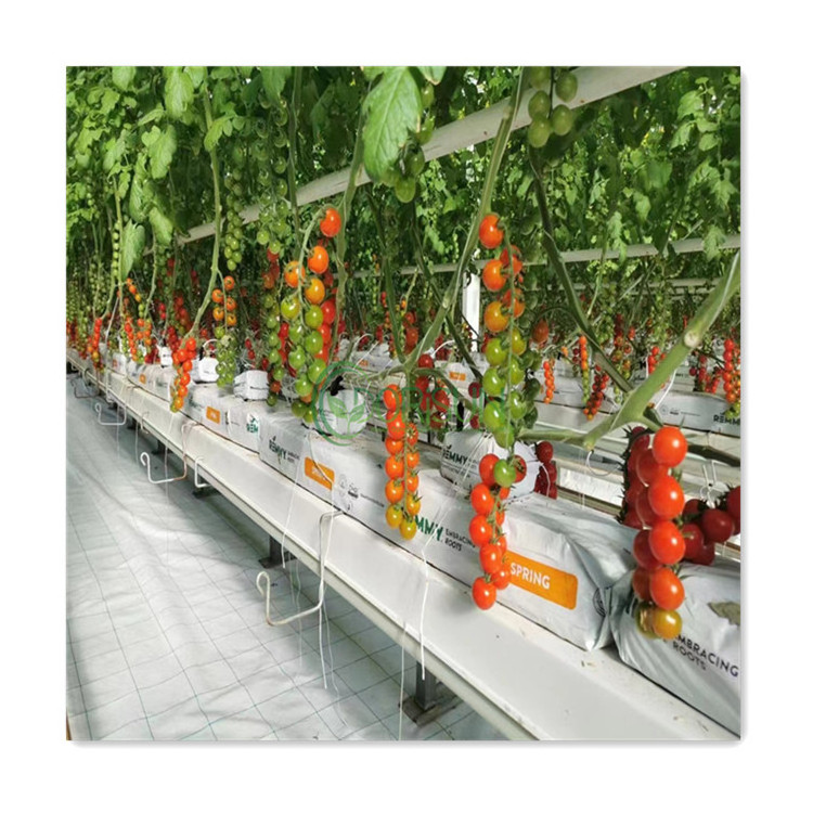 Dutch Bucket Hydroponic System Biodegradable Potato Nursery Strawberry Tree Coconut Peat Planting Bags