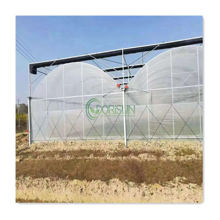 Hobby Garden Film Roller Large Vegetable Portable Indoor Strawberry Tunnel Multi Span Greenhouse For Roses