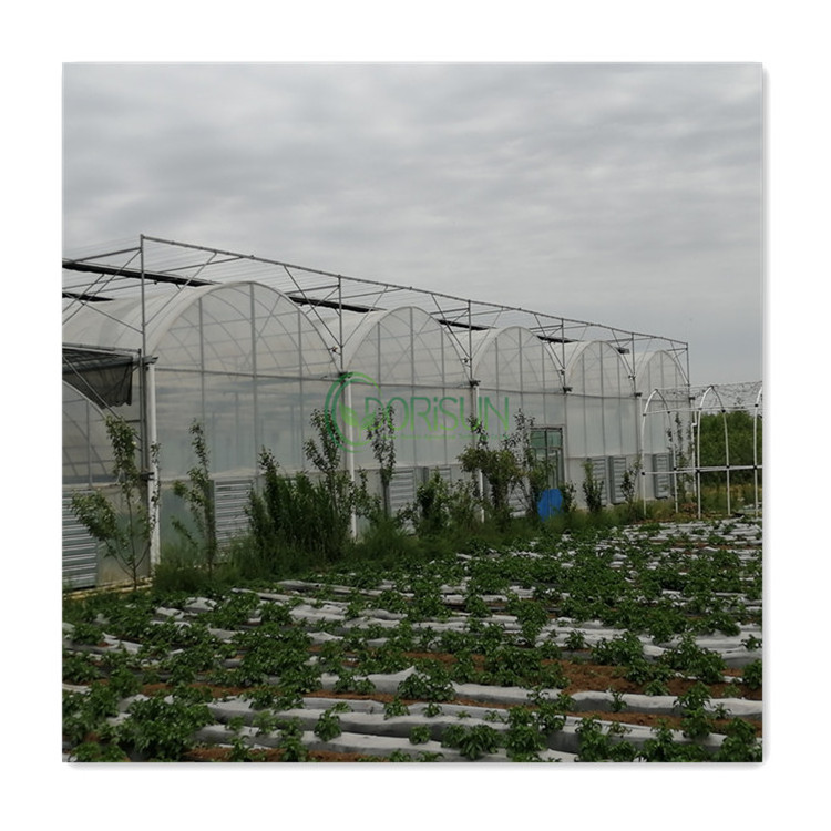 Commercial Hydroponic Co2 Generator Wholesale Price Agricultural Glass Multi Span Plastic Greenhouses For Sale