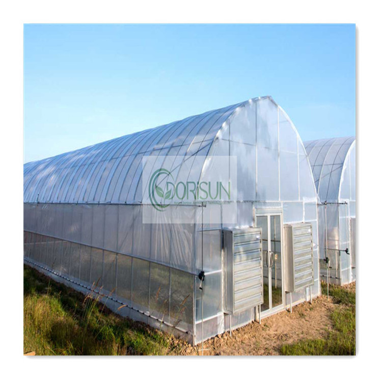 Prefabricated Reasonable Price Wooden Glass Double Walled Vacuum Insulated Foldable Polycarbonate Sheet Greenhouse