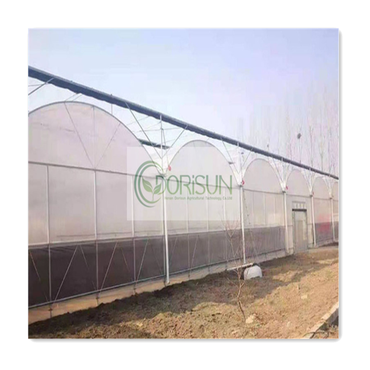 White Cover Greenhouse Victorian Garden Glass Winter Greenhouses One Stop Gardens Greenhouse Parts