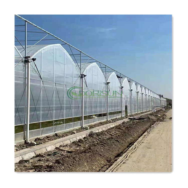 Hot Selling Aluminum Alloy Frame Multi Span Greenhouse Agricultural Greenhouse For Both Sides Ventilation System