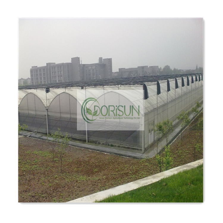 4 Season Arch Robotized Rooftop Bamboo Co2 Generator Pluggable Used Climate Controlled Greenhouses For Sale