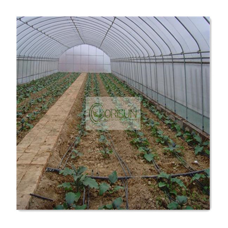 10X7 Walk In Hoop Cheap Diy Lettuce Propagation Double Layer Plastic Mini Venlo Greenhouse For Hydroponics