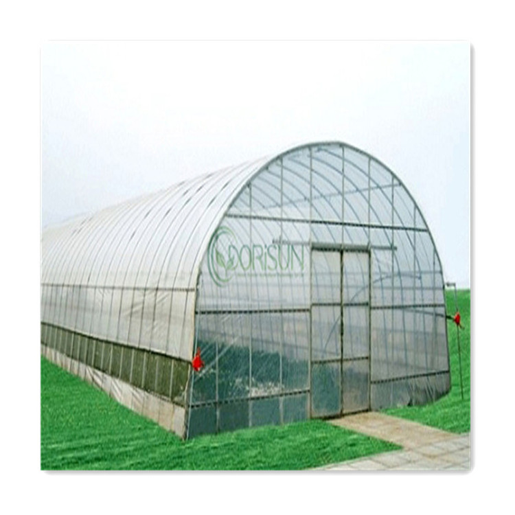 Plant Walk-In Low Cost Agricultural Commercial Hydroponic Co2 Generator Prices Agricultural Greenhouses