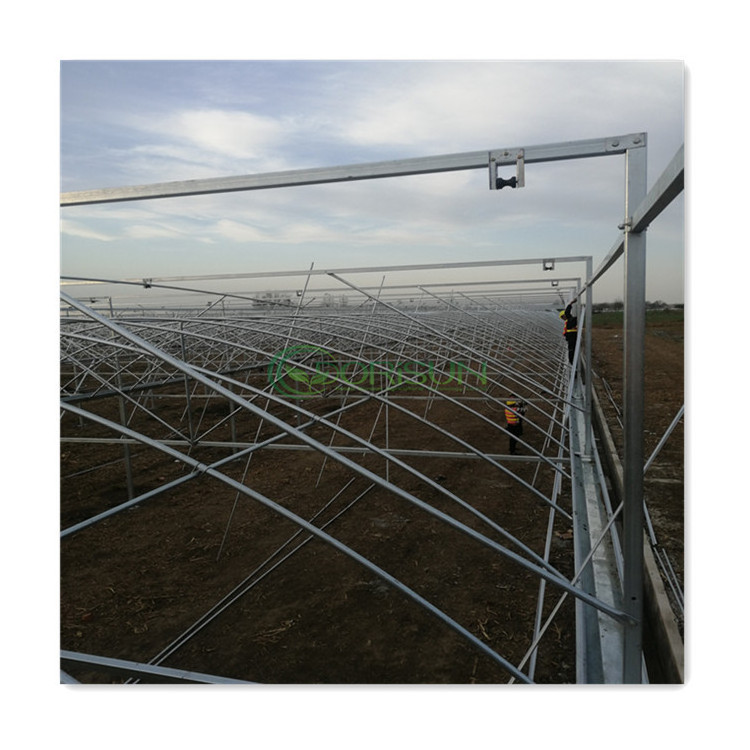 Commercial Hydroponic Co2 Generator Wholesale Price Agricultural Glass Multi Span Plastic Greenhouses For Sale