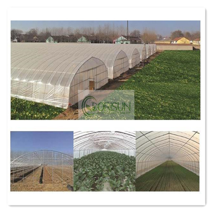 Singlespan Large Walk-In Climate Controlled Farm Poly Film Vertical Farm Tall Large Greenhouse For Strawberry