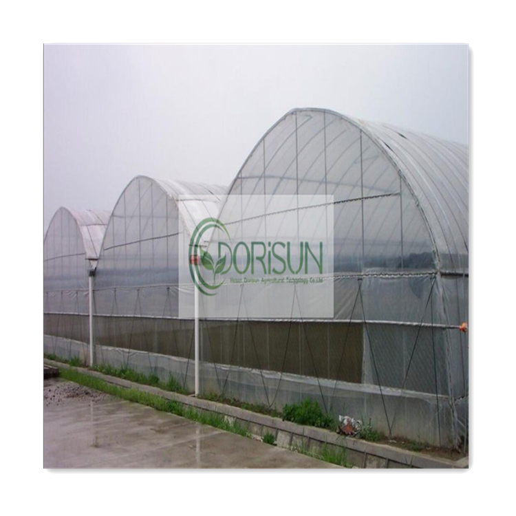 Large Nursery Sale Wholesale Price Glass Hydroponics Octagon Evaporative Air Cooler Heated Plant PC Sheet Greenhouse