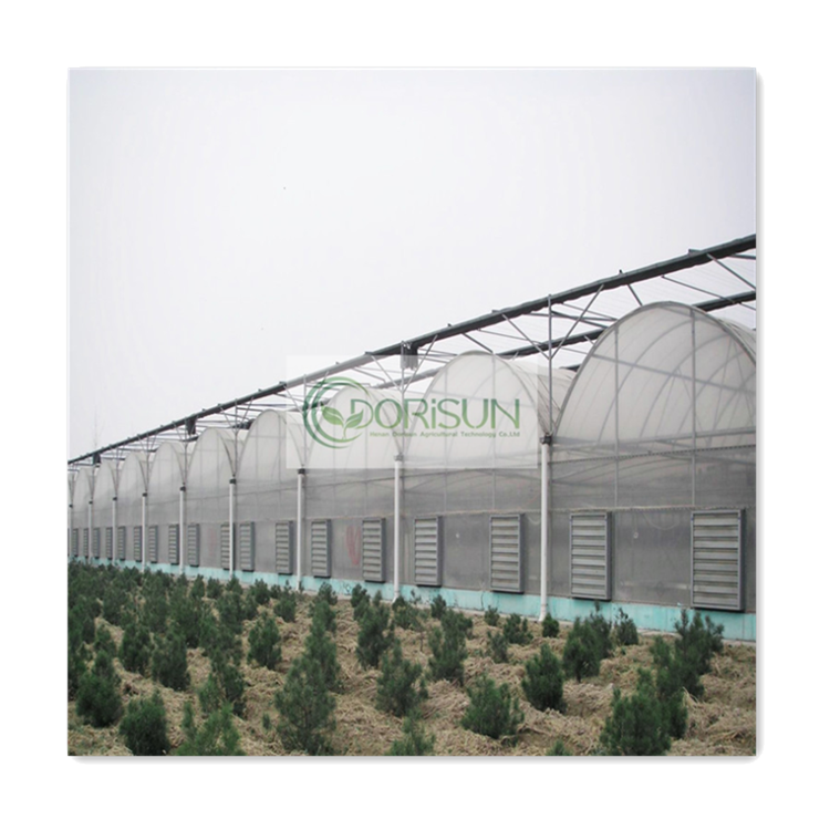 4 Season Arch Robotized Rooftop Bamboo Co2 Generator Pluggable Used Climate Controlled Greenhouses For Sale