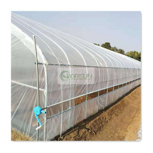 Prefabricated Reasonable Price Wooden Glass Double Walled Vacuum Insulated Foldable Polycarbonate Sheet Greenhouse