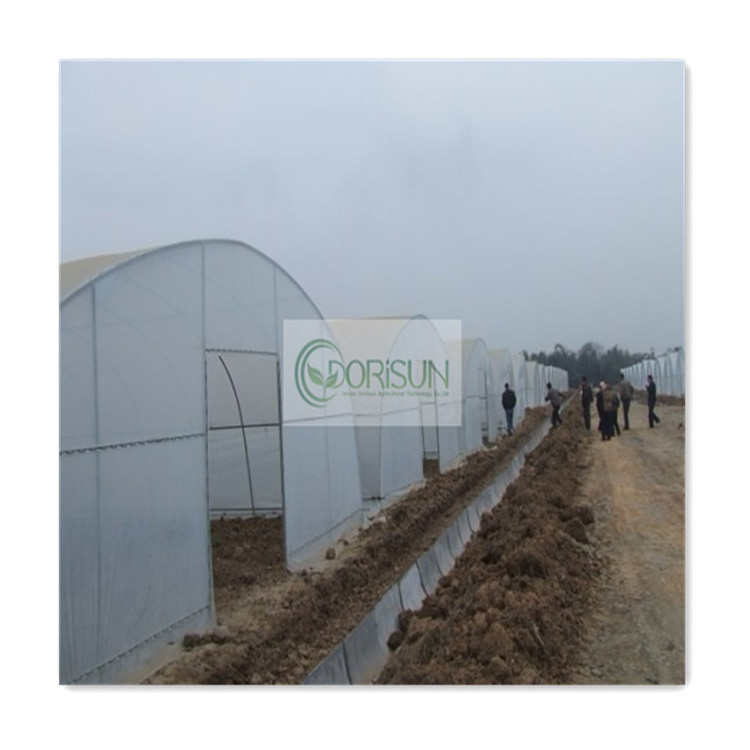 8X12 China Green Houses Plastico Para Invernaderos-Industrial Tunel Used Agricultural Greenhouse Tunneling For Sale