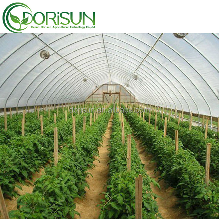 Shade Net Single-Span Agricultural Pest Greenhouse Electric Pipe Rail Aluminum Foil Inner Shade Green House With Flowers