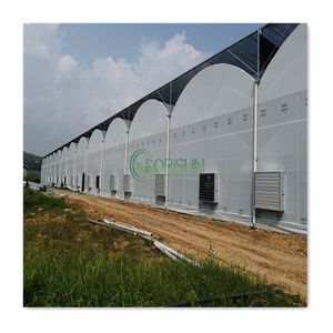 Hot Selling Aluminum Alloy Frame Multi Span Greenhouse Agricultural Greenhouse For Both Sides Ventilation System