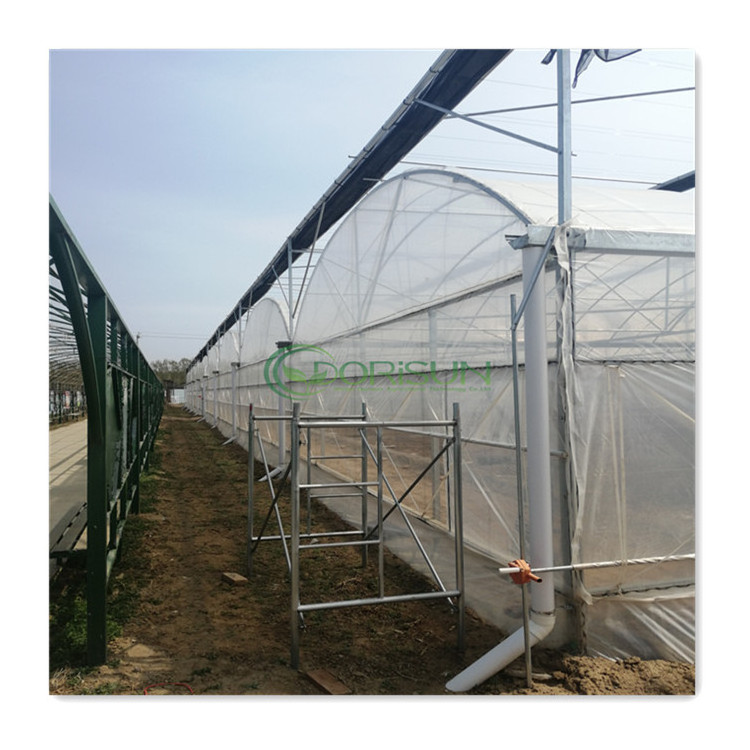 Automated Irrigation System High Pressure Water Mist Waterproof Geodesic Dome Plastic Greenhouses For Mushroom