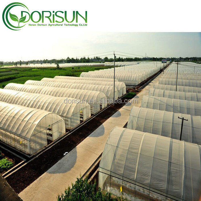 Shade Net Single-Span Agricultural Pest Greenhouse Electric Pipe Rail Aluminum Foil Inner Shade Green House With Flowers