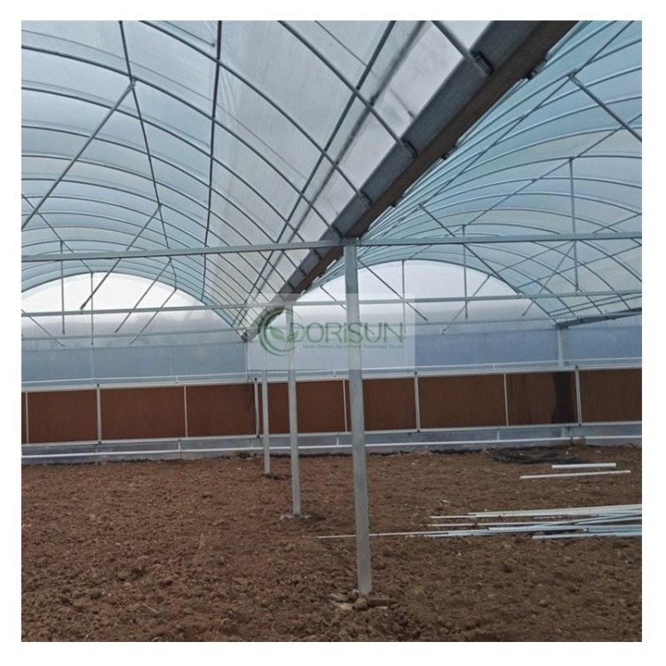 Commercial Hydroponic Co2 Generator Wholesale Price Agricultural Glass Multi Span Plastic Greenhouses For Sale