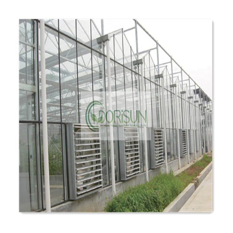 4 Season Arch Robotized Rooftop Bamboo Co2 Generator Pluggable Used Climate Controlled Greenhouses For Sale