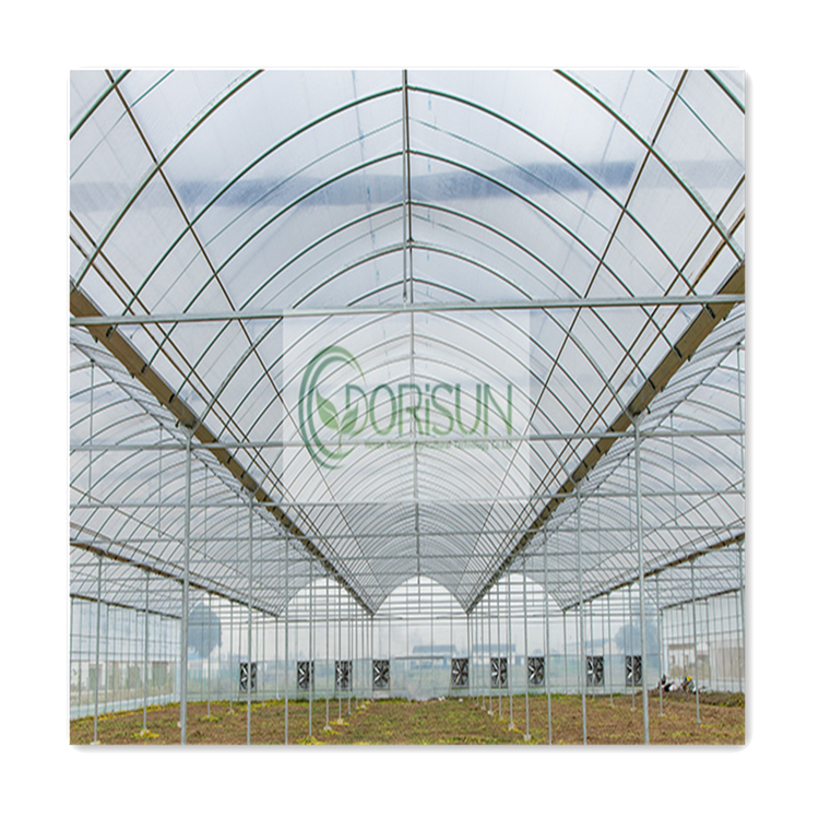 Automated Irrigation System High Pressure Water Mist Waterproof Geodesic Dome Plastic Greenhouses For Mushroom