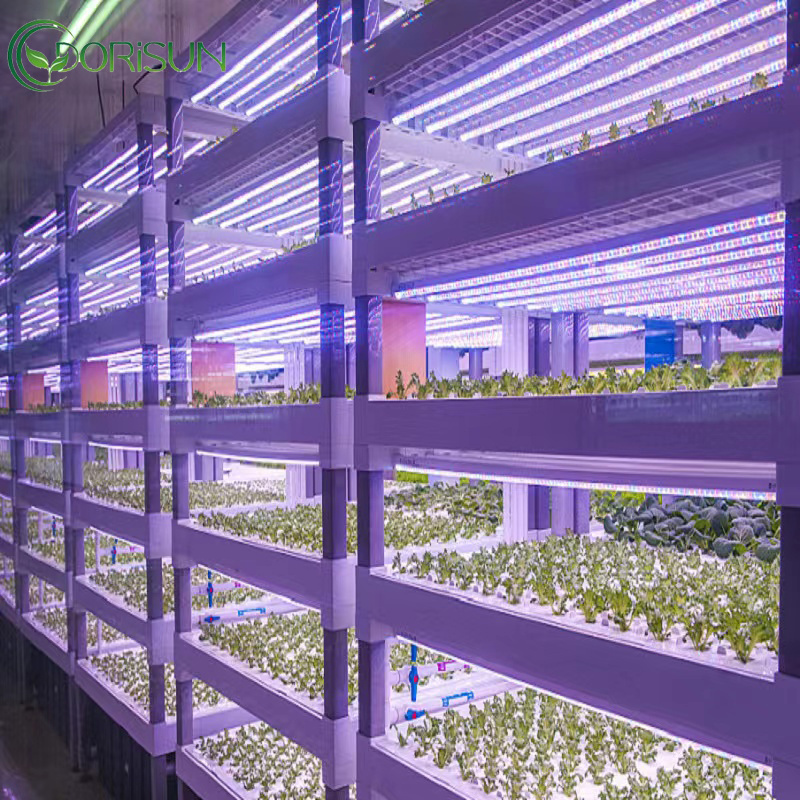 Shipping container farm with hydroponic vertical system for vegetable growing container