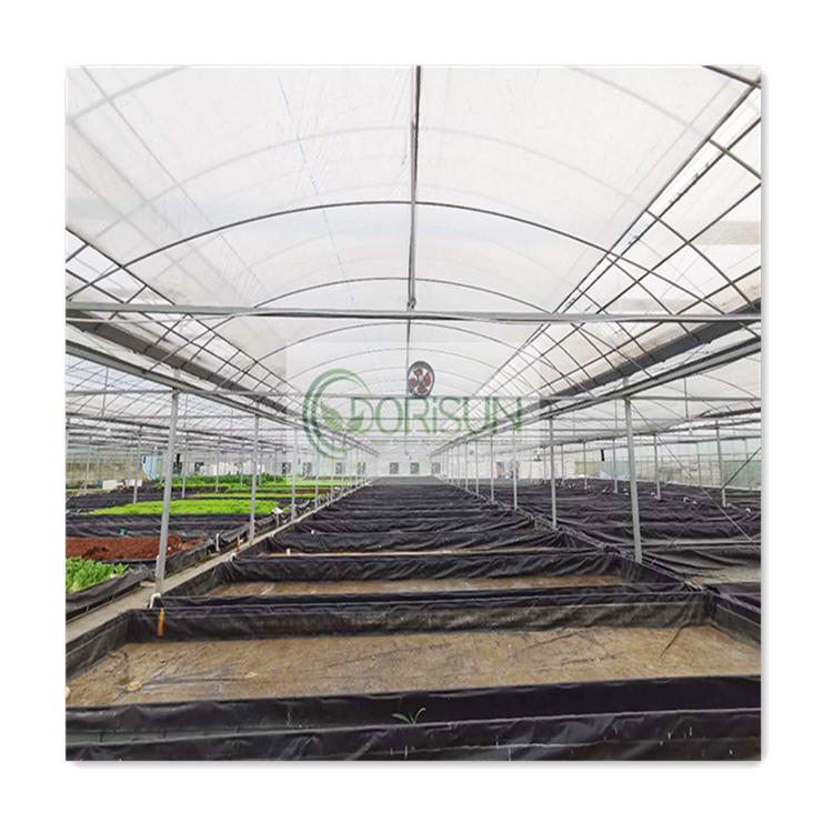 White Cover Greenhouse Victorian Garden Glass Winter Greenhouses One Stop Gardens Greenhouse Parts