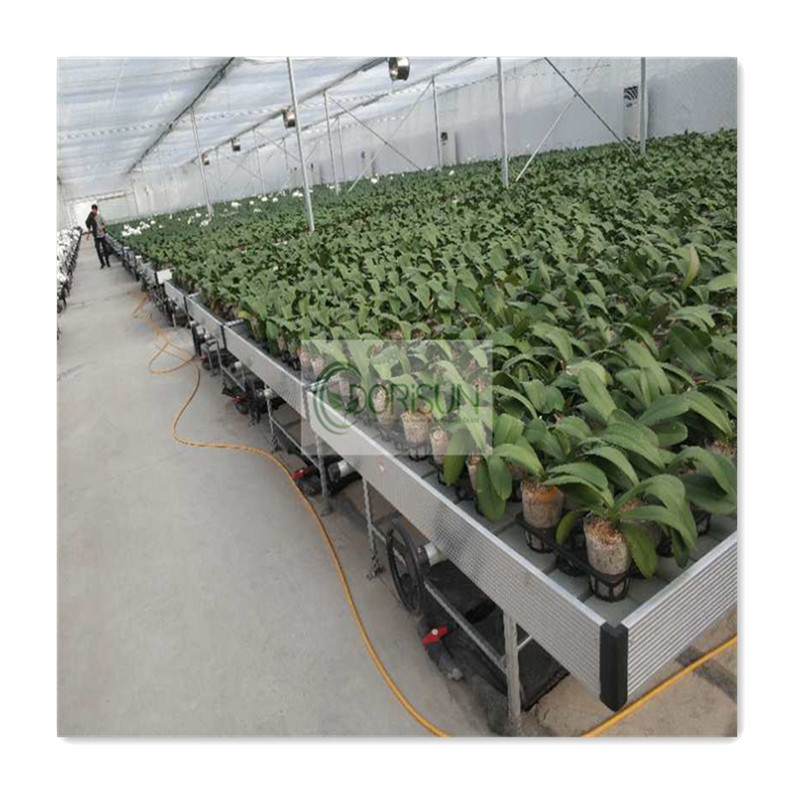 Hydroponics System Vertical Rack Greenhouse Ebb Flow Rolling Bench Vertical Grow Racks For Indoor Farming