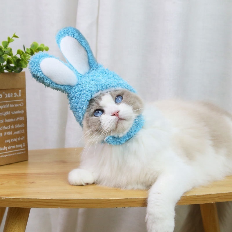 Supplies Cute Cat Costume Warm Bear Hat for Cat Adjustable Soft Small Pet Head wear Bear Hat for Kitten Cat Puppy Dog