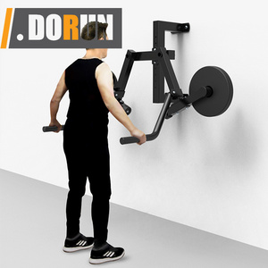 Wholesale Wall Mounted Gym Shoulder Side Deltoid Strength Lateral Raise Trainer Machine