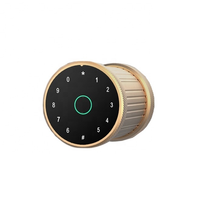 High quality cavity privacy wooden pocket sliding digital doors lock smart door lock wifi fingerprint bd safety lock