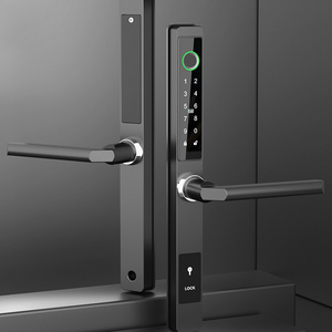 2023 New Product  Ttlock Tuya Waterproof Aluminum Doors Locks Slim Smart DoorLock with Lock Cylinder