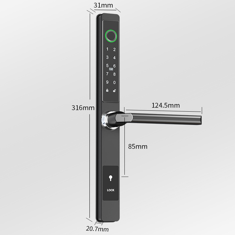 2023 New Product  Ttlock Tuya Waterproof Aluminum Doors Locks Slim Smart DoorLock with Lock Cylinder