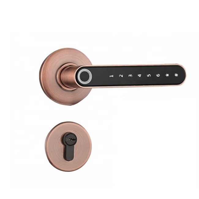 Intelligent handle lock fingerprint tubular latch privacy door lever knob lock home electronics tuya Digital Door Lock