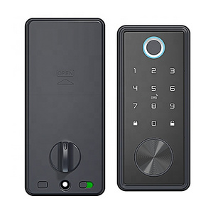 TTLock Wifi Remotely digital Locker Lock Fingerprint Door Lock Electronic Automatic luxury smart lock