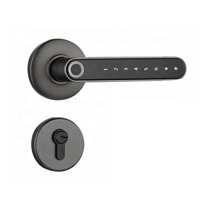 Intelligent handle lock fingerprint tubular latch privacy door lever knob lock home electronics tuya Digital Door Lock