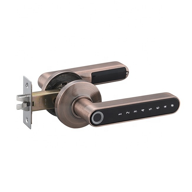 Intelligent handle lock fingerprint tubular latch privacy door lever knob lock home electronics tuya Digital Door Lock