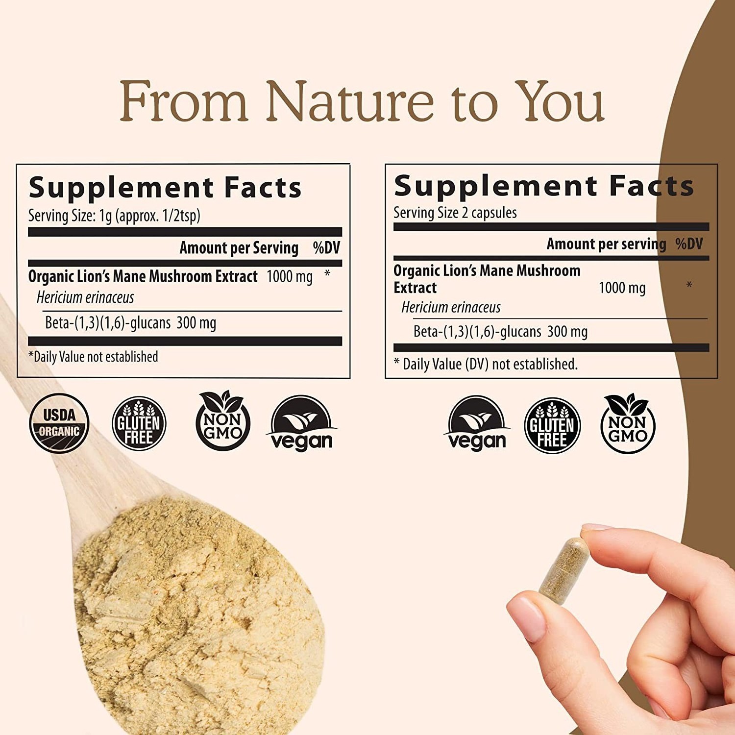 Private Label Herbal Supplement Reishi Extract Capsules Ganoderma Lucidum Extract Reishi Mushroom Powder Capsules