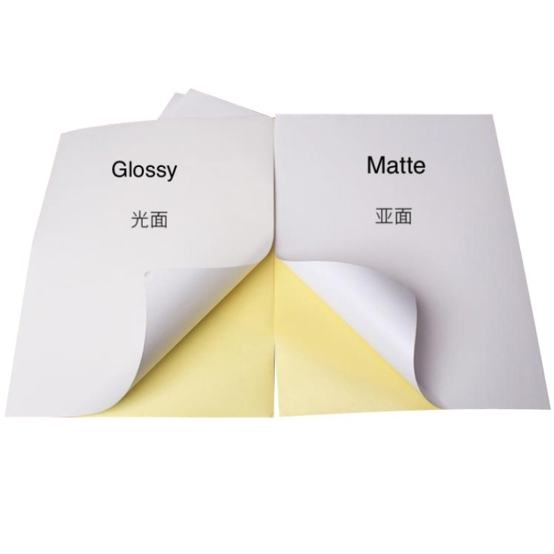 Factory Direct Sale Glossy Matt Self Adhesive Sticker Cast Coated Sticker Paper for Product Label