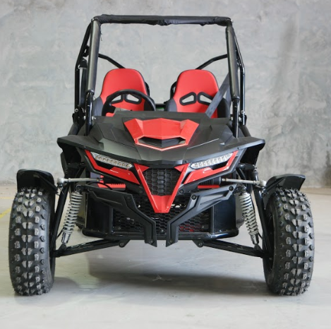 New 200cc BLAZER CVT Double Seats Go Kart Dune Buggy