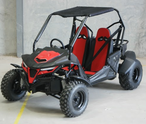 New 200cc BLAZER CVT Double Seats Go Kart Dune Buggy