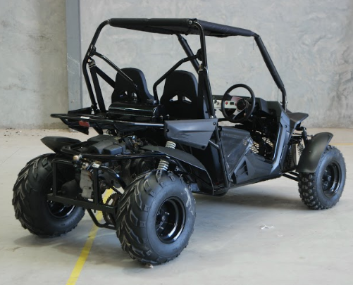 2020 newest High performance adult 2 seat 150 / 200cc petrol dune buggy