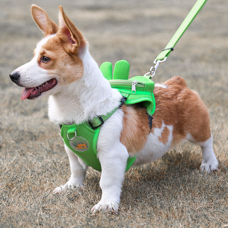 High Quality Comfortable Colorful Dog Harness Double Layer Mesh Cartoon Luxury Pet Leash With Backpack