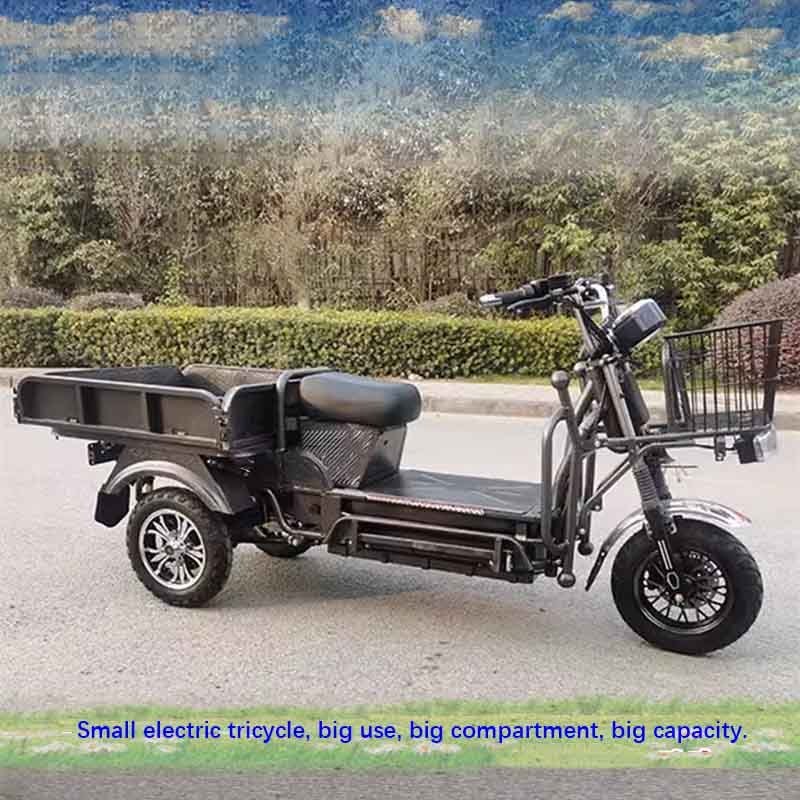 cheap rickshaw electric tricycle bike 3 wheel electric tuk tuk cargo tricycle made in china