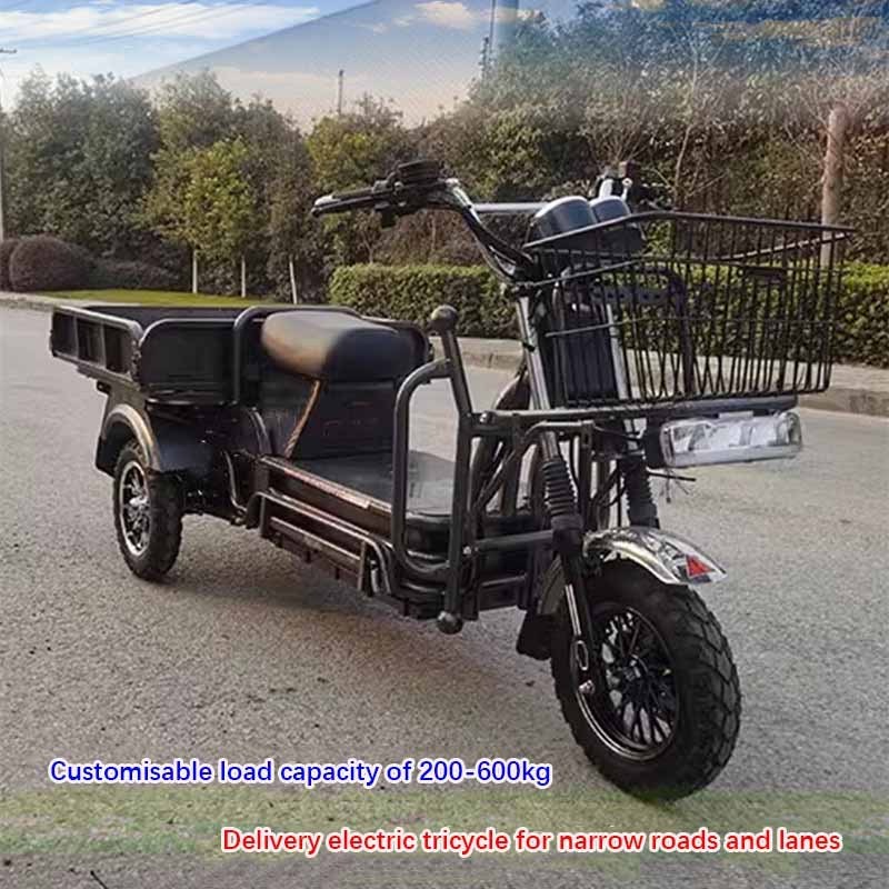 cheap rickshaw electric tricycle bike 3 wheel electric tuk tuk cargo tricycle made in china